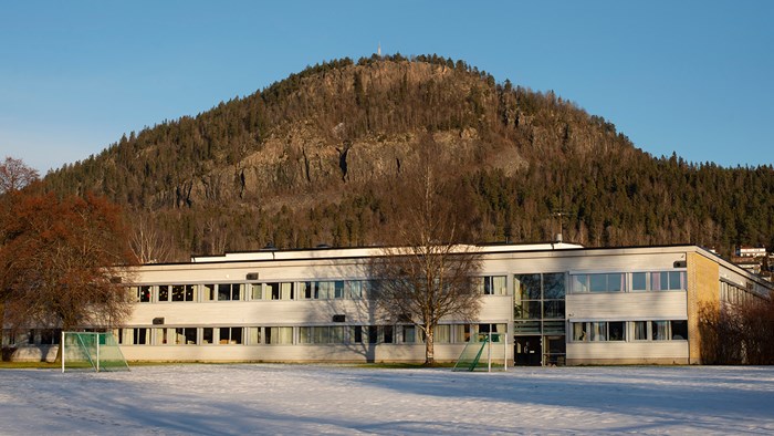 Skole