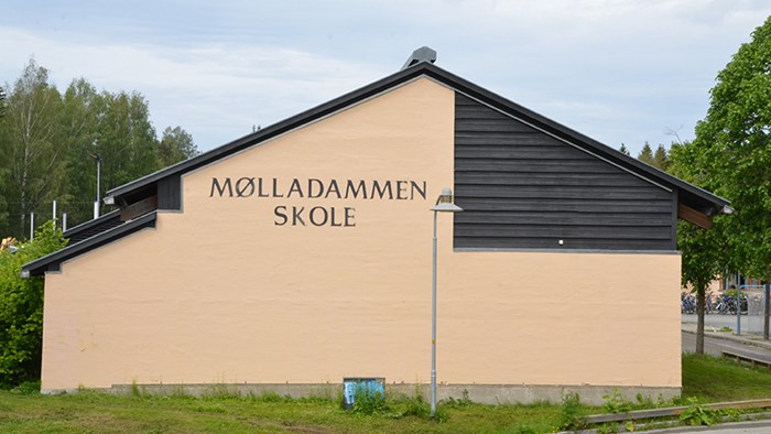 Mølladammen skole