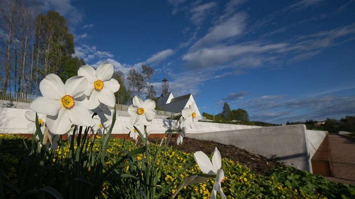 Eiendom | Lommedalen kirke, Lommedalsveien 221